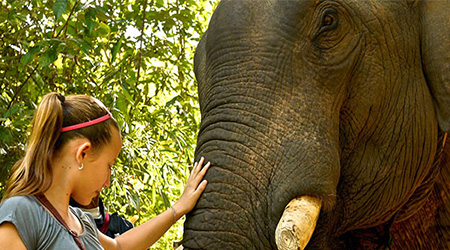 MAHOUT EXPERIENCE WITH TENTED CAMP