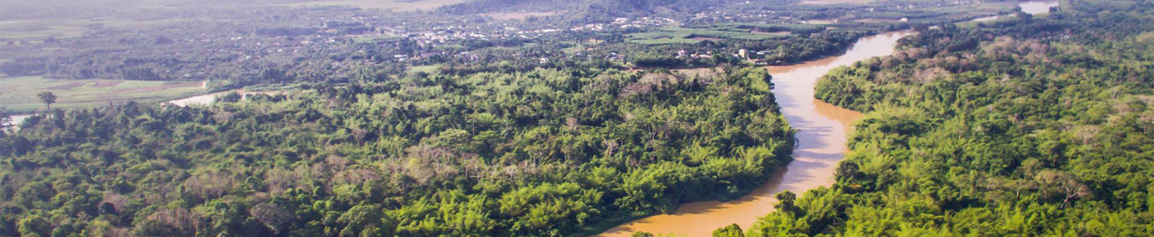 WILDLIFE OF THE NAM CAT TIEN NATIONAL PARK